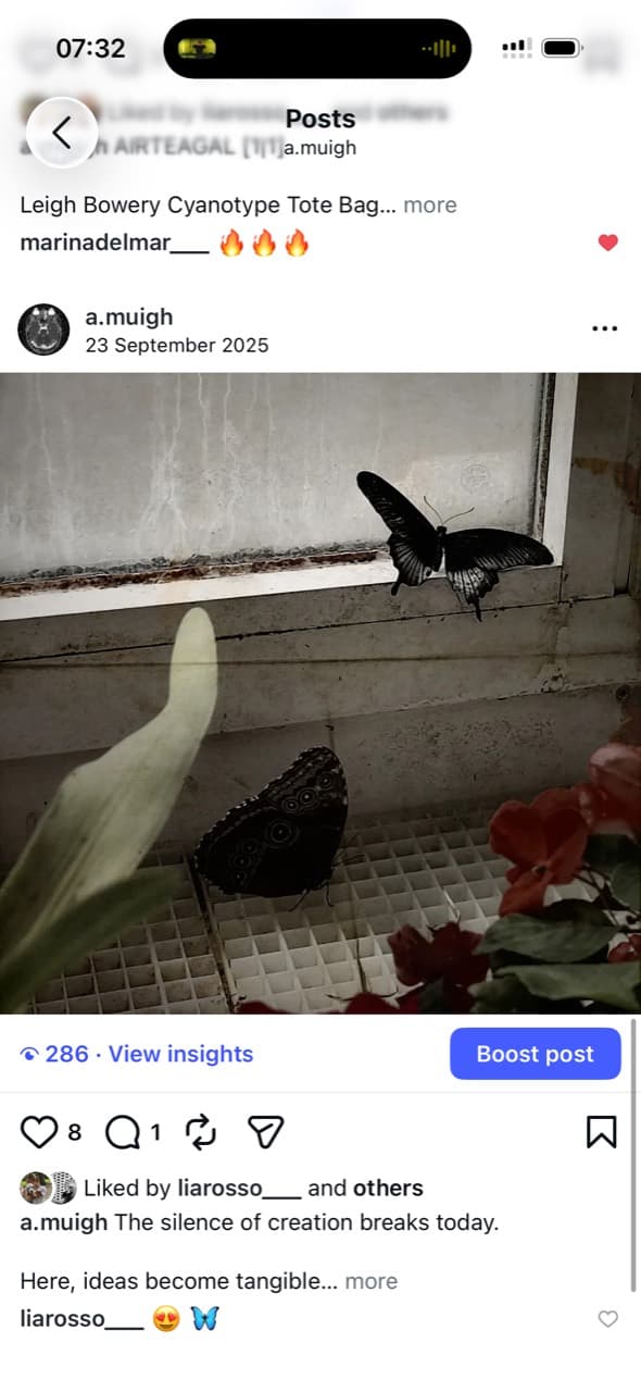 Screenshot of a post showing butterflies and flowers in a studio-like window scene