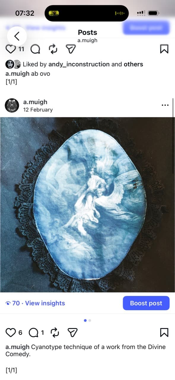 Screenshot showing a blue cyanotype image bordered by black lace